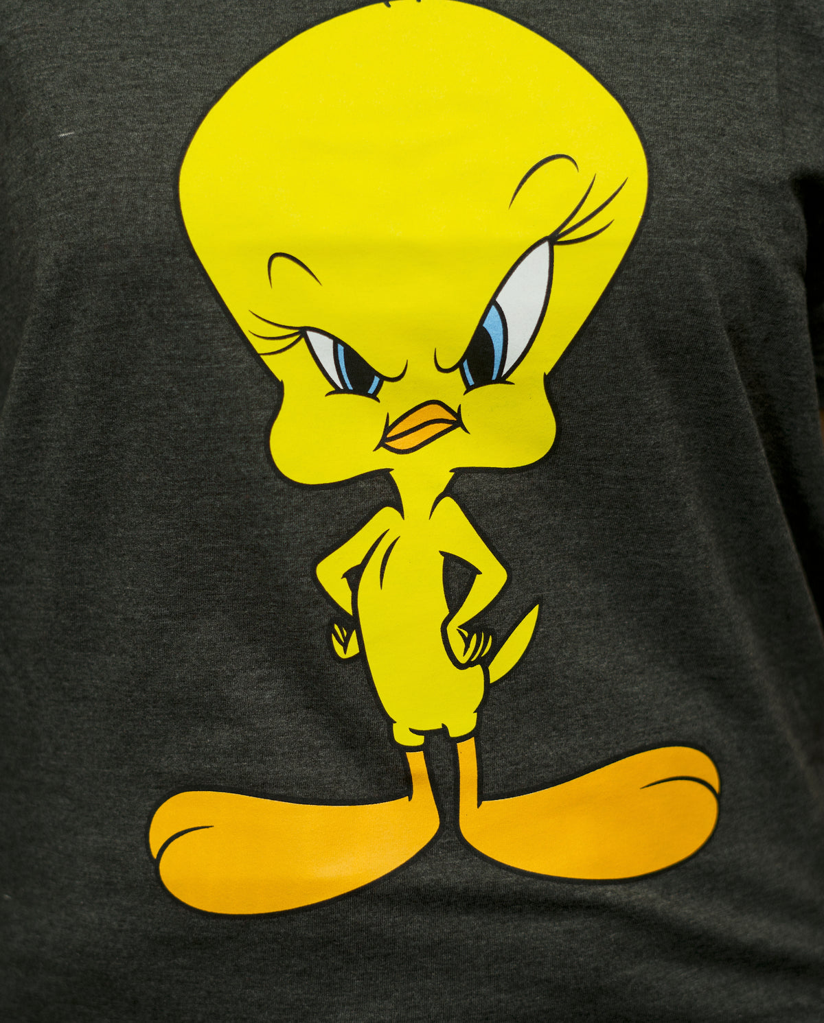 Tweety Bird Graphic T-Shirt